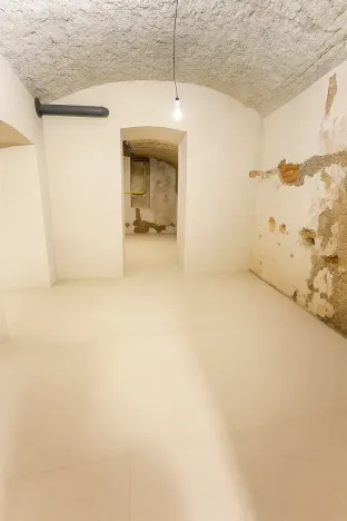 Prodej komerční nemovitosti, Praha - Břevnov, Heleny Malířové, 63 m2