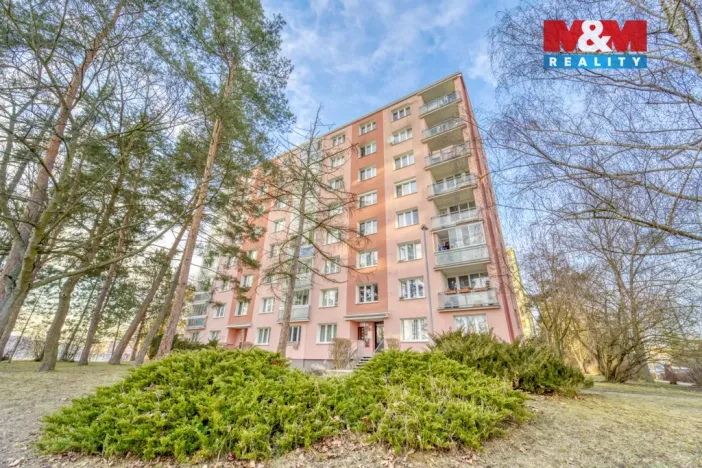 Prodej bytu 2+1, Plzeň - Jižní Předměstí, Skupova, 62 m2