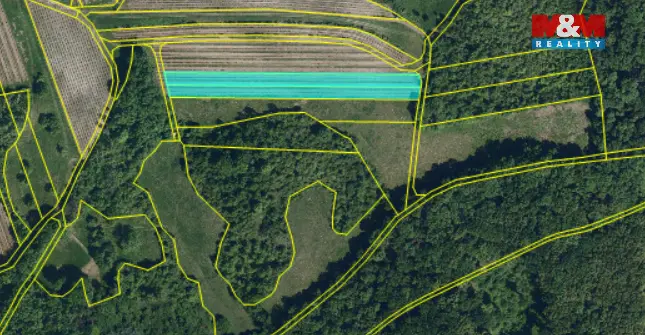 Pronájem pole, Horní Věstonice, 4000 m2