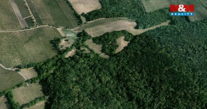 Pronájem pole, Horní Věstonice, 4000 m2