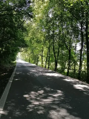 Pronájem chaty, Ostrava, Staroveská, 22 m2