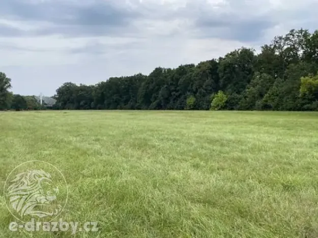 Dražba pole, Oseček, 83999 m2