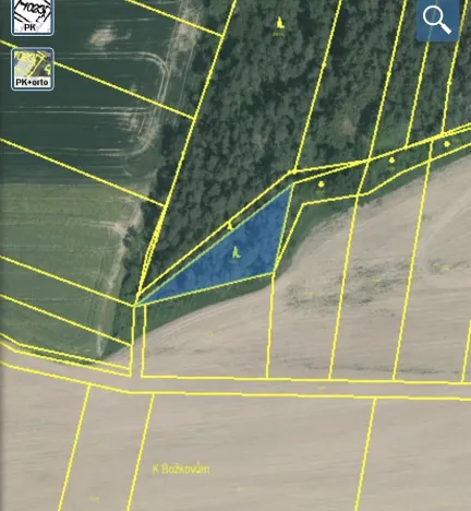 Prodej lesa, Blížejov - Lštění, 1122 m2