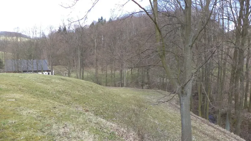 Prodej pole, Heřmanov - Fojtovice, 4633 m2