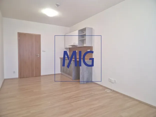 Pronájem bytu 1+kk, Syrovice, 28 m2