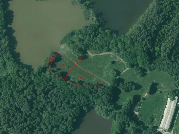 Dražba louky, Chlum u Třeboně, 6727 m2