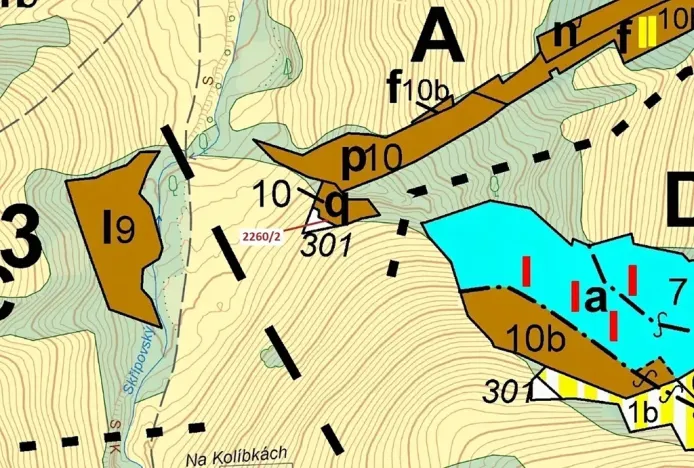 Dražba lesa, Zděchov, 1022 m2