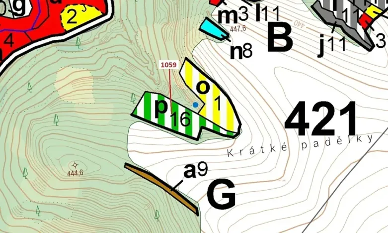 Dražba lesa, Náměšť nad Oslavou, 3646 m2
