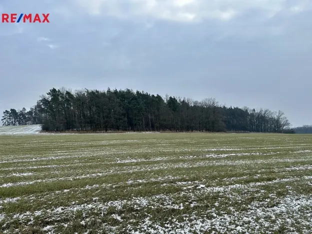 Prodej lesa, Ostřetín, 21595 m2