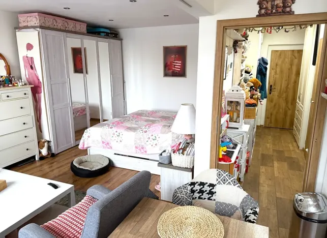 Prodej bytu 1+1, Ostrava, Dětská, 42 m2