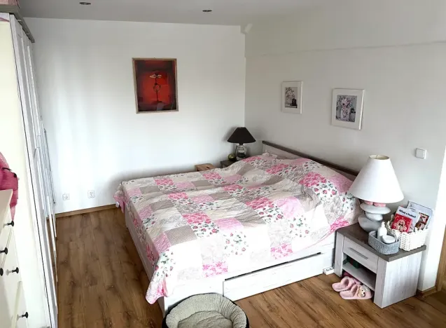 Prodej bytu 1+1, Ostrava, Dětská, 42 m2