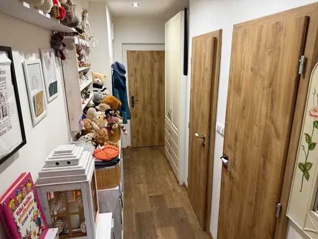 Prodej bytu 1+1, Ostrava, Dětská, 42 m2