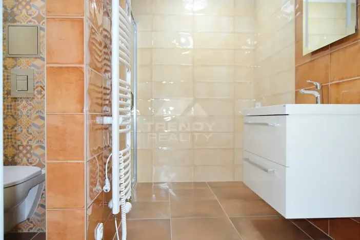 Pronájem bytu 1+kk, Plzeň, Na Roudné, 50 m2