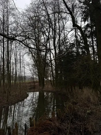 Prodej lesa, Předslav, 6263 m2