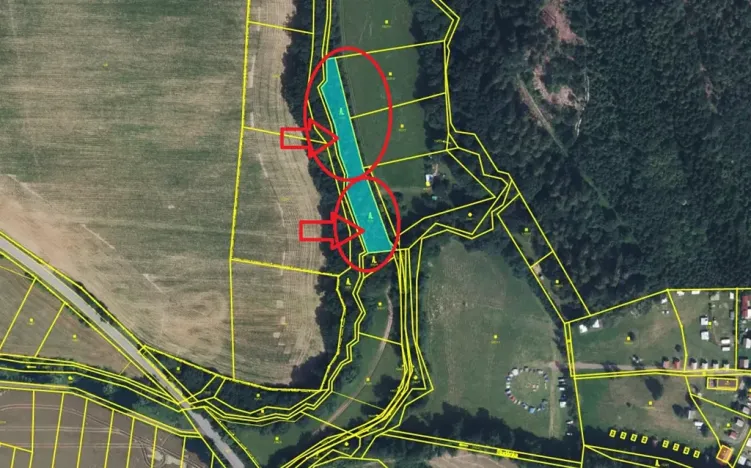 Prodej lesa, Lužany, 2098 m2