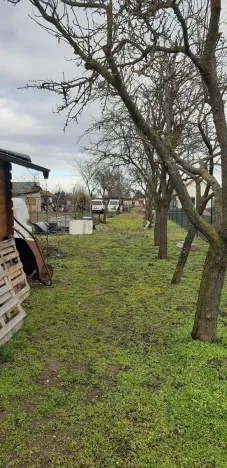 Prodej zahrady, Břeclav, Letiště, 1429 m2