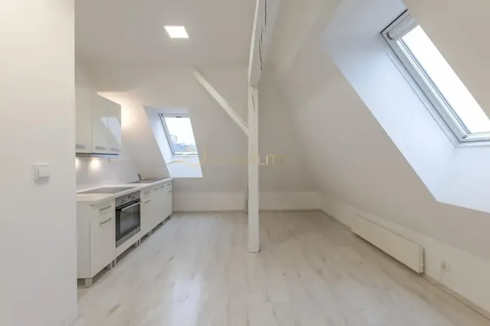 Prodej bytu 2+kk, Olomouc, Husitská, 60 m2