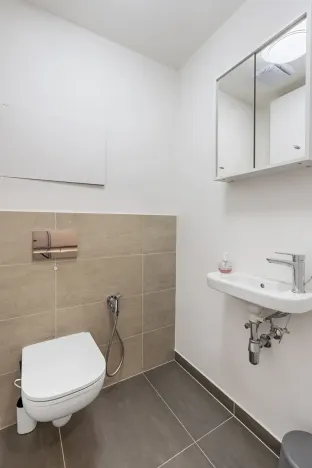 Prodej bytu 3+kk, Praha - Žižkov, Olgy Havlové, 78 m2