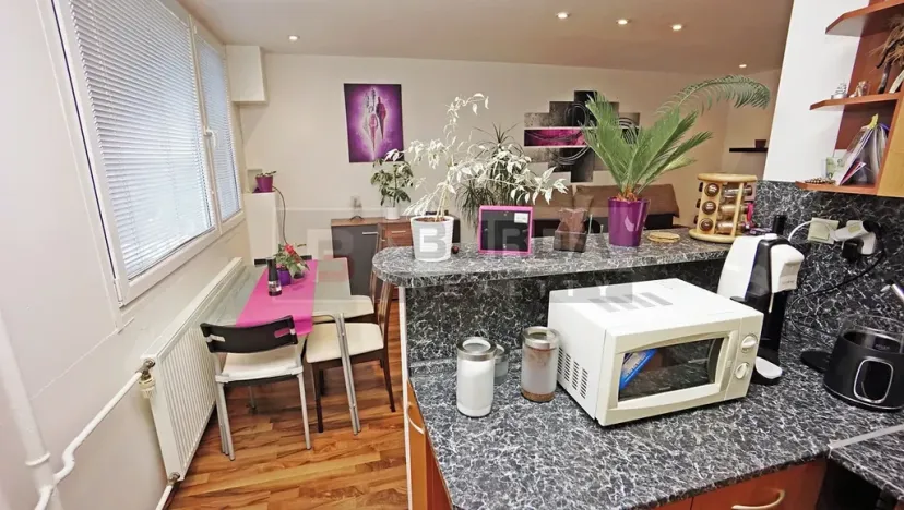 Prodej bytu 2+1, Neratovice, 53 m2