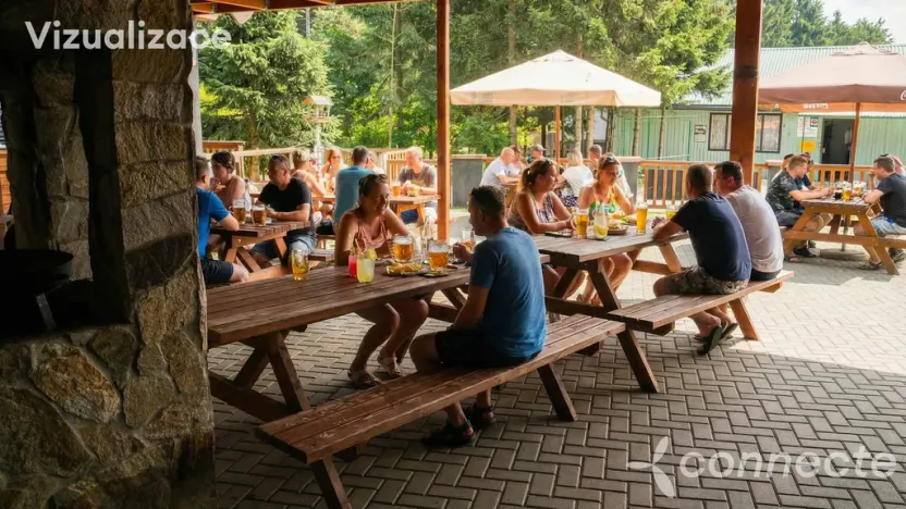 Prodej ubytování, Nová Bystřice - Albeř, 259 m2