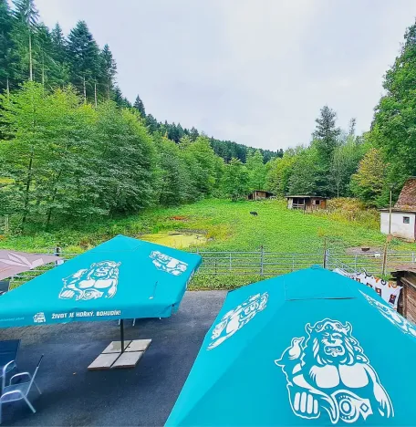 Prodej komerční nemovitosti, Valašské Klobouky, Brumovská, 467 m2