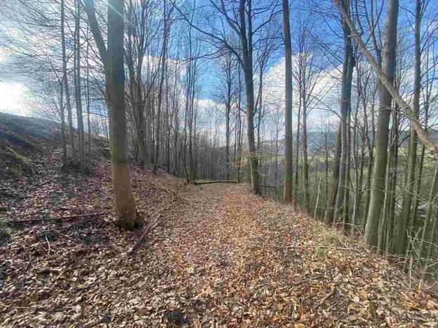 Prodej pozemku, Teplice nad Metují, 5185 m2