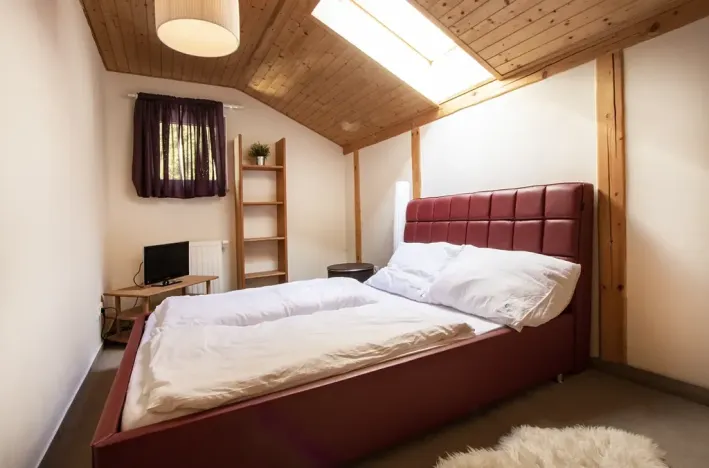 Prodej - jiné, Josefův Důl, 220 m2