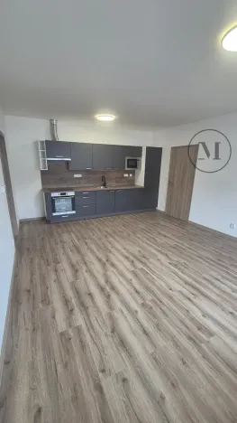 Pronájem bytu 2+kk, České Budějovice, Novohradská, 50 m2