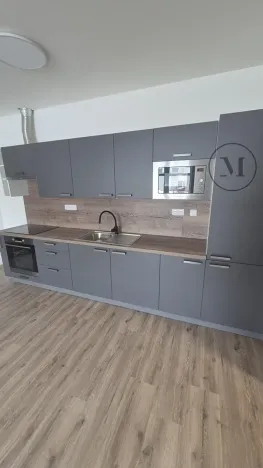 Pronájem bytu 2+kk, České Budějovice, Novohradská, 50 m2