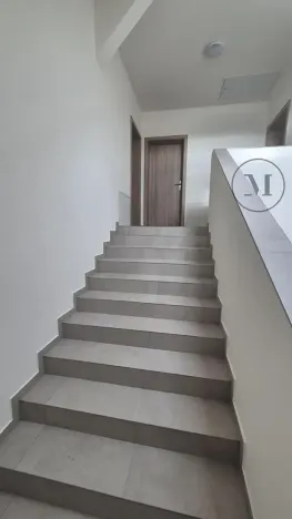 Pronájem bytu 2+kk, České Budějovice, Novohradská, 53 m2