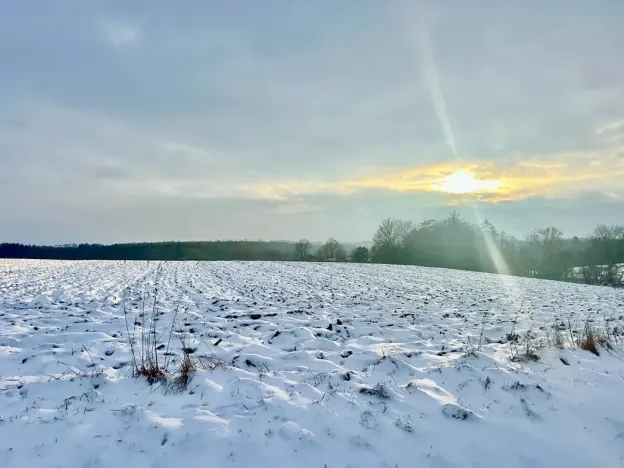 Prodej pole, Zbýšov, 10847 m2