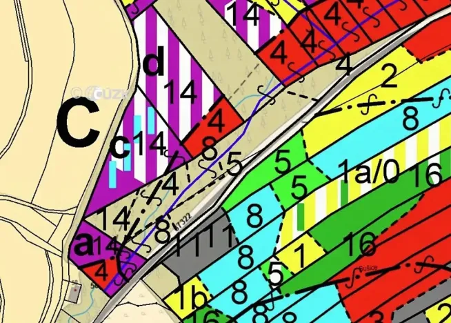 Prodej lesa, Hartinkov, 8121 m2
