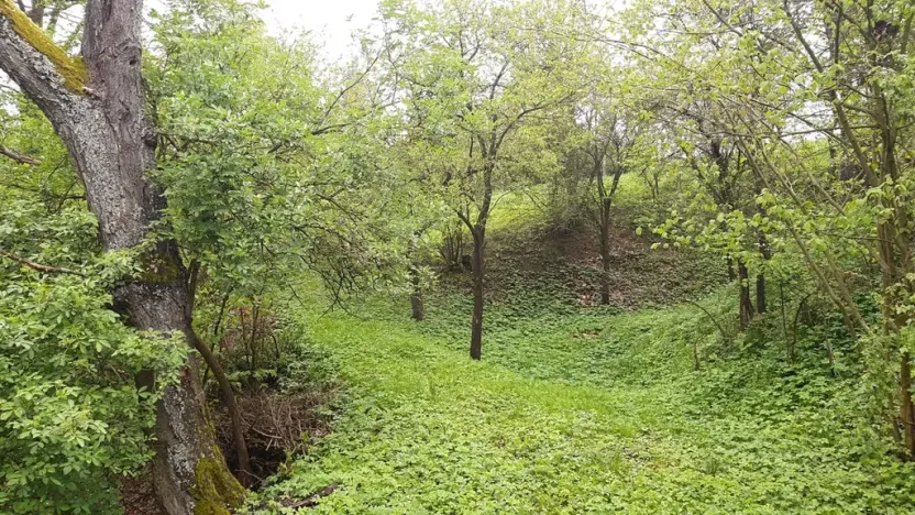 Prodej zahrady, Rohle, 1514 m2