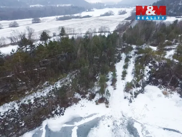 Prodej lesa, Rabí, 28273 m2