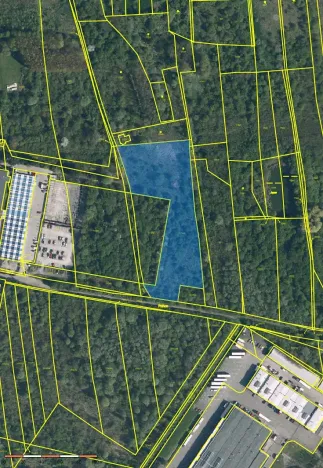 Prodej louky, Kosmonosy, 8401 m2