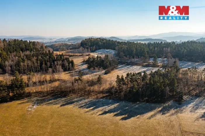 Prodej lesa, Nišovice, 12140 m2