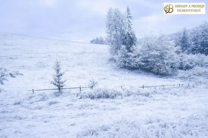 Prodej louky, Dlouhomilov, 7512 m2