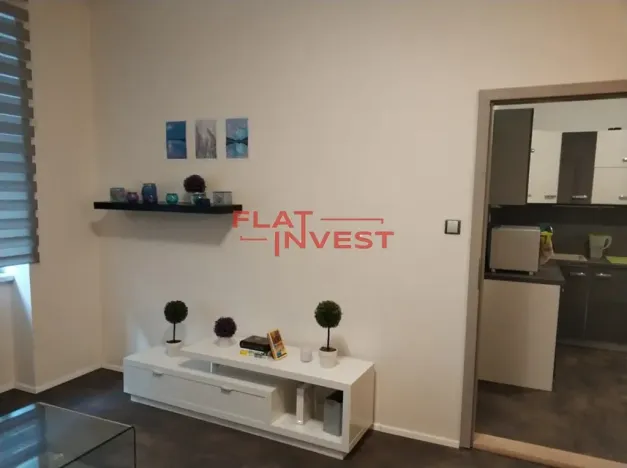 Pronájem bytu 2+kk, Praha - Holešovice, Jirečkova, 52 m2