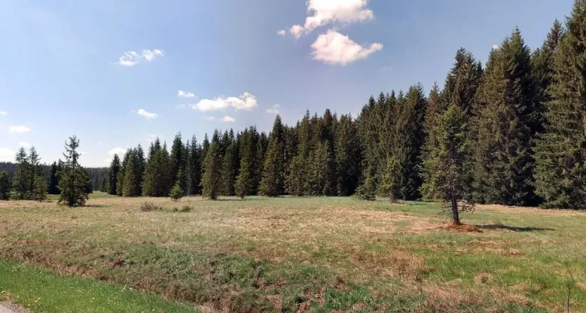 Prodej pole, Pohorská Ves - Pohoří na Šumavě, 62712 m2