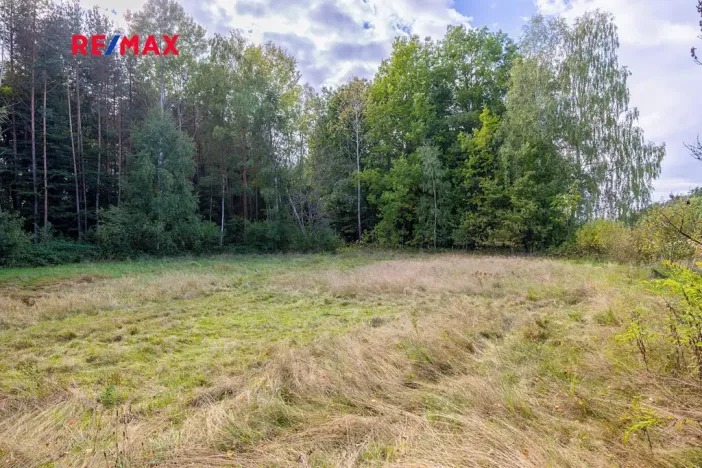 Prodej pozemku pro bydlení, Suchdol nad Lužnicí, 1001 m2