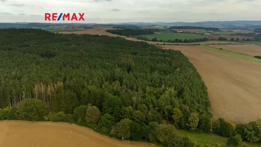 Prodej lesa, Všehrdy, 35057 m2