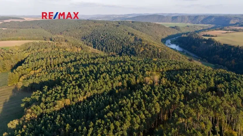 Prodej lesa, Všehrdy, 35057 m2