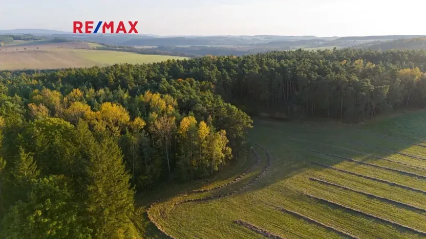 Prodej lesa, Všehrdy, 35057 m2