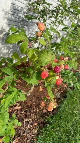 Prodej rodinného domu, Cheb, U Sídliště, 114 m2