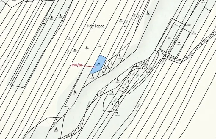 Dražba louky, Ivančice, 252 m2