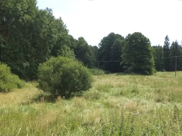 Dražba louky, Chodský Újezd, 13137 m2