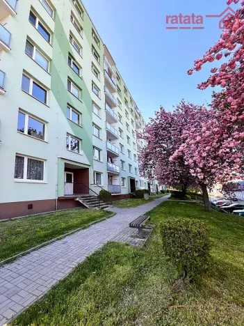 Pronájem bytu 2+1, Kadaň, Golovinova, 59 m2