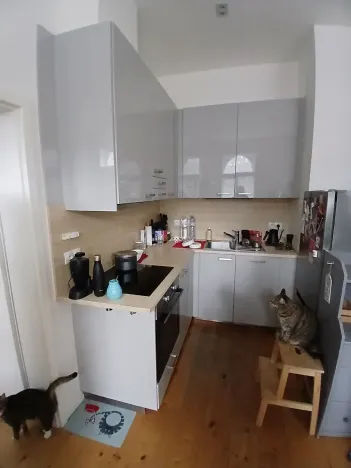 Prodej bytu 2+kk, Praha - Karlín, Pobřežní, 52 m2