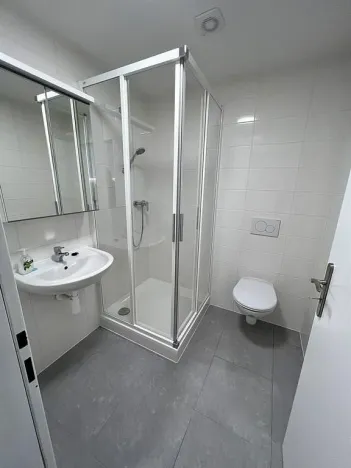 Pronájem bytu 1+kk, Brno - Maloměřice, Hády, 18 m2