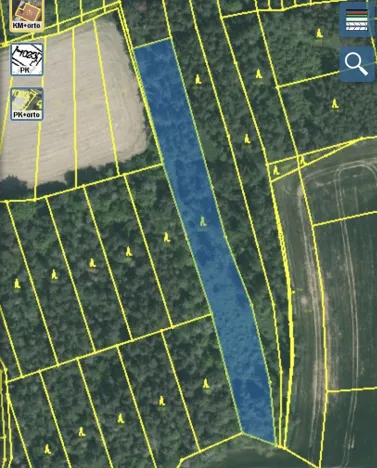 Prodej lesa, Blížejov - Lštění, 4624 m2